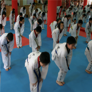 正东跆拳道运动成长中心加盟图片