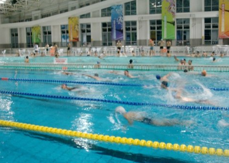 泳网体育专业游泳培训加盟实例图片
