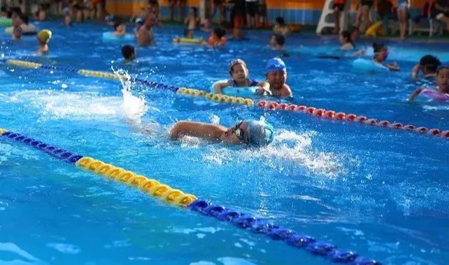 泳网体育专业游泳培训加盟案例图片