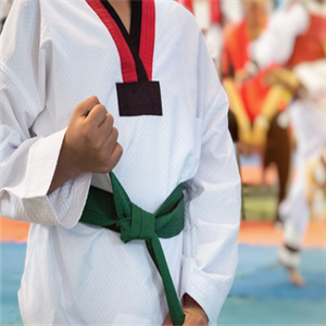 英武道青少儿武术跆拳道教育加盟图片