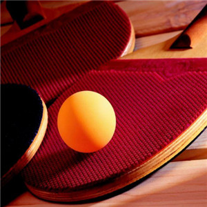 鑫乐乒乓球培训加盟图片