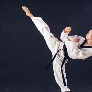  Shine Youth Wushu Taekwondo Yoga Fat Reducing Dance