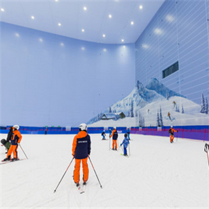  Snow Fox Indoor Skiing