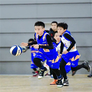 陶教练青少年幼儿篮球培训班诚邀加盟