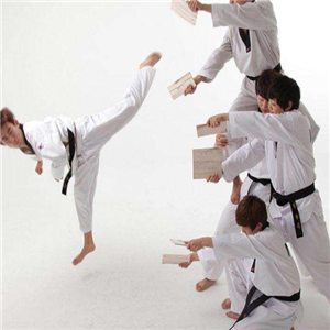 世宗武道跆拳道加盟案例图片
