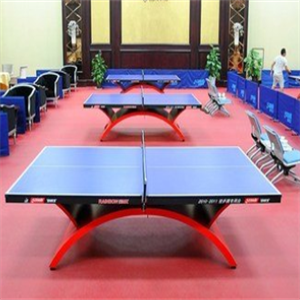  Wangzu City Table Tennis Center
