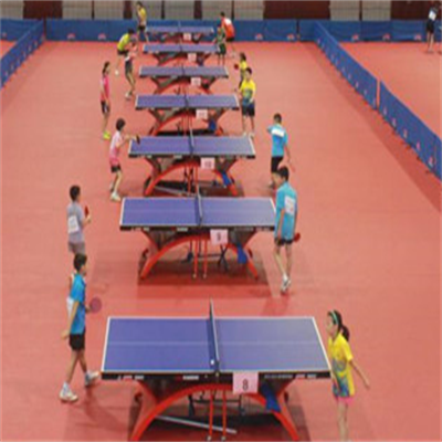 望族城乒乓球运动中心加盟实例图片