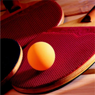 望族城乒乓球运动中心加盟图片