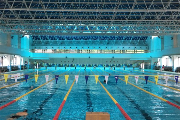 速影国际游泳培训俱乐部加盟