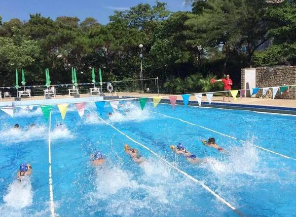 速影国际游泳培训俱乐部加盟案例图片
