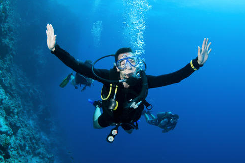 太极自由潜水国际学院加盟图片