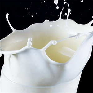 阳光牧场牛奶加盟实例图片