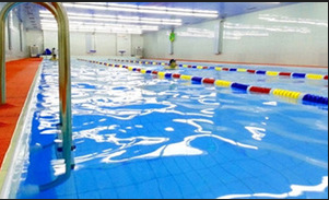 姜老师游泳培训加盟实例图片