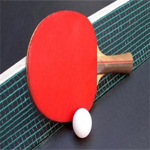 杰冠乒乓球培训加盟实例图片