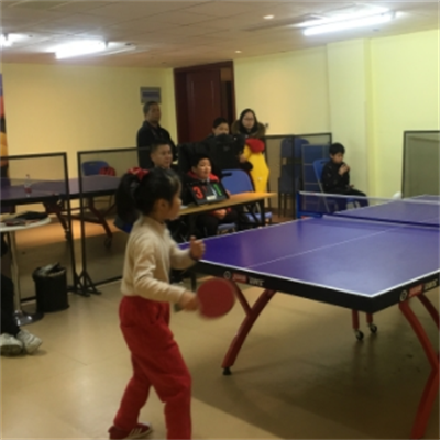鸿赟乒乓俱乐部加盟实例图片