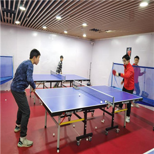 龙飞乒乓球体育加盟案例图片