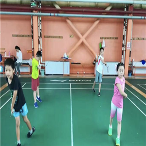 凌云篮球羽毛球网球培训