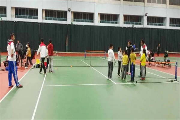 凌云篮球羽毛球网球培训加盟