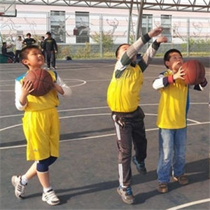 立跃青少年篮球培训
