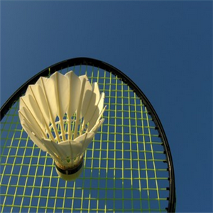 PDT紫色动力国际网球·羽毛球俱乐部加盟图片