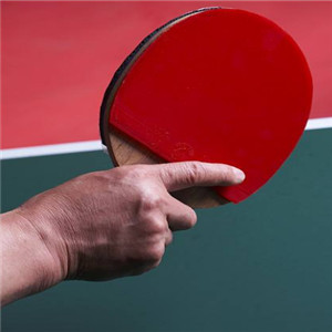 奉东乒乓球俱乐部加盟案例图片