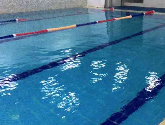 EST游泳培训俱乐部加盟实例图片