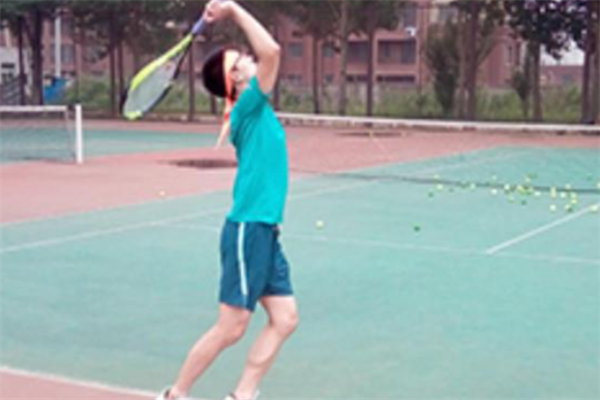 弘金地格林青少儿网球培训加盟