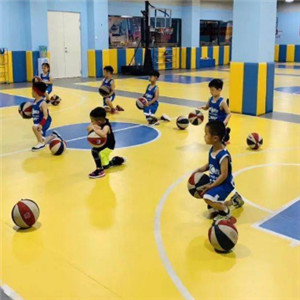 BRAVO布拉沃篮球学院加盟图片