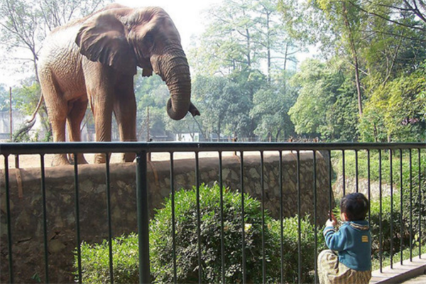 萌巢動物樂園加盟