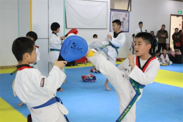 SYBJ青少年搏击跆拳道培训加盟