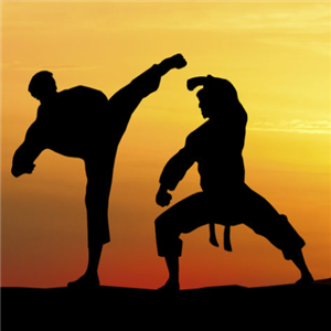 跆风跆拳道加盟案例图片