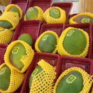 台州鲜果巴巴水果加盟实例图片