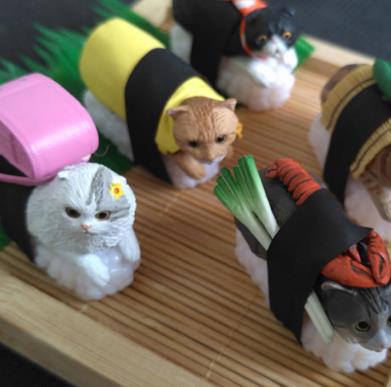 猫的精致寿司