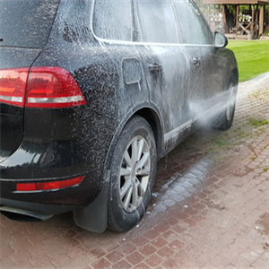 欧式洗车加盟案例图片
