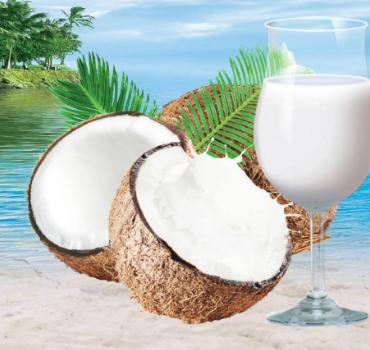 椰威椰子汁加盟