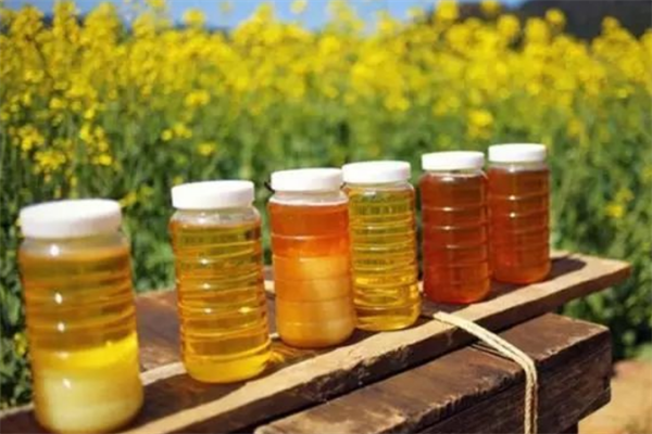 农科院蜂产品无糖食品加盟