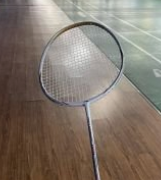  321 Badminton Stadium