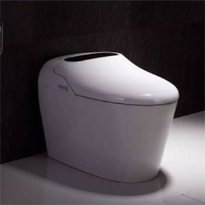  Gongyi Smart Toilet is sincerely invited to join