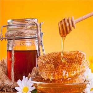 新疆伊犁黑蜂蜂蜜加盟
