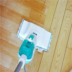  Tuma steam mop is invited to join