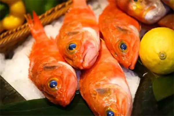 长崎鲜鱼市场加盟