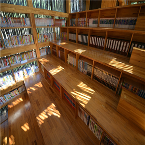 天梯书屋