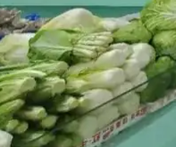 月浦鱼塘菜市场