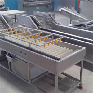  Guge fruit and vegetable cleaning machine