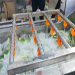  Dongling fruit and vegetable cleaning machine