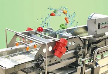  Zhucheng fruit and vegetable cleaning machine