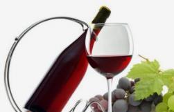 智利赤霞珠葡萄酒加盟
