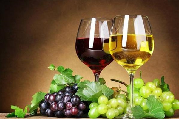 智利赤霞珠葡萄酒加盟