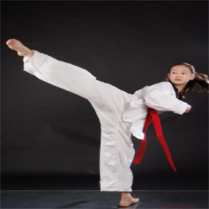  Shenwu Taekwondo is invited to join