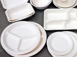  Kim Zhenglai's disposable tableware is invited to join us